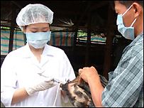 Tiêm phòng vaccine