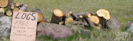 Free logs