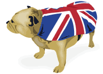 英国国旗与狗