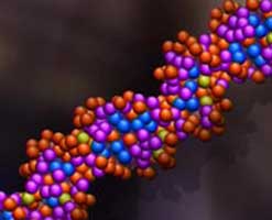 Image of the DNA double helix