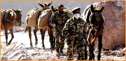 ’میں یہ نہیں کہتا کہ فوج بری ہے‘