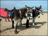 گدھوں سے سمگلنگ