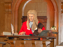 The Judge in the Courtroom Experience