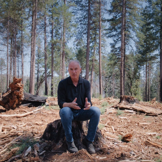 A man sat on a burnt tree stump.