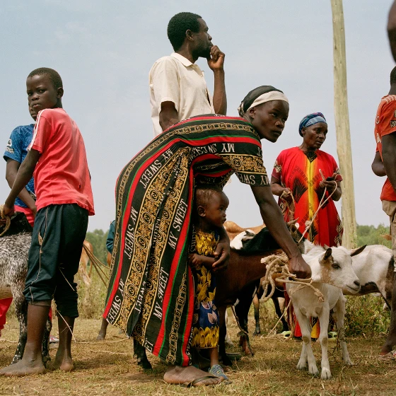 A woman stood alongside goats.