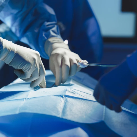 A surgeon's hands operating.