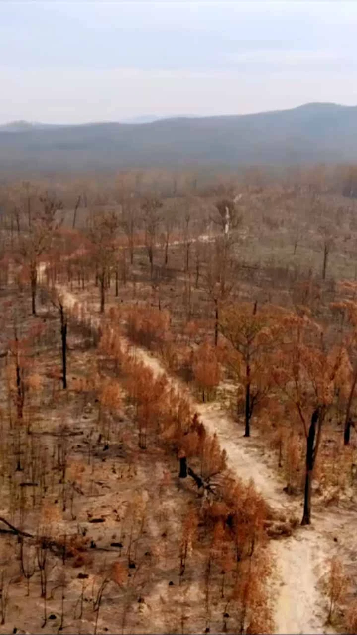Arial view of scorched earth and a road.