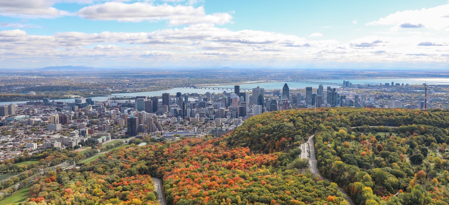 Skyline in the background