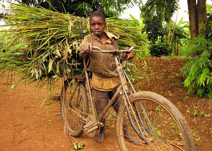 A Ugandan boy on an errand to collect reeds.
