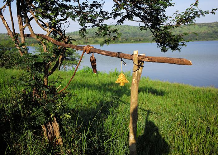 The remains of a Christmas goat on Lake Bisongu, Tanzania.